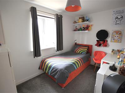 Picture 13